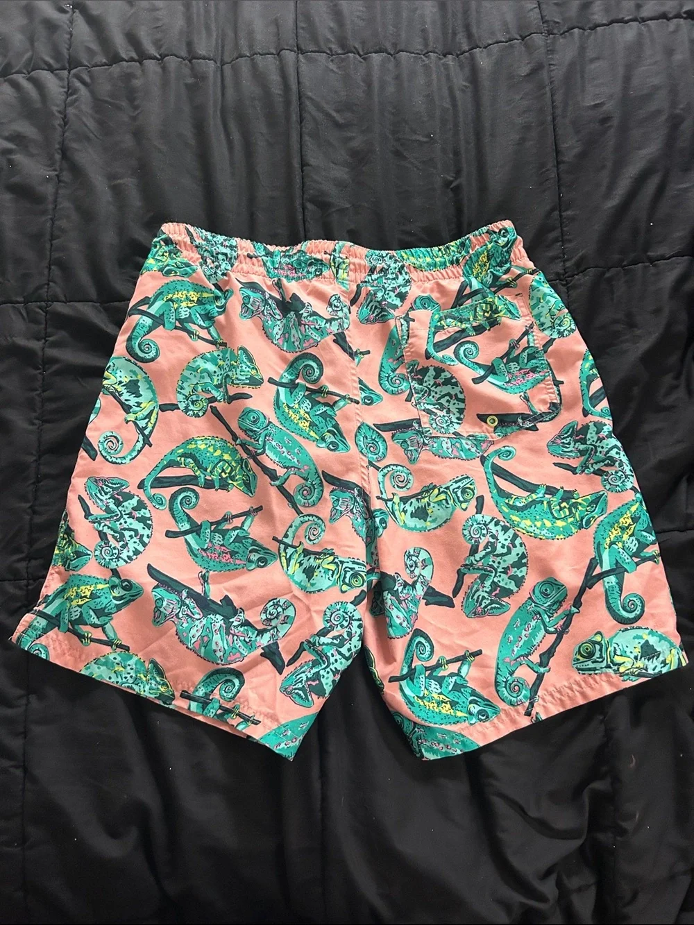 Men's Coral Swim Trunks with Teal Chameleon Print - M